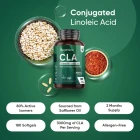 Effects of our CLA supplement