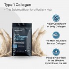 Potent formula of our pure collagen powder
